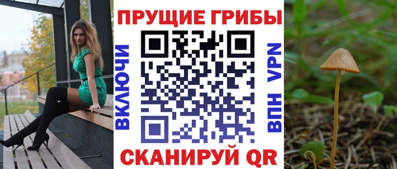Псилоцибиновые грибы мухоморы  kraken как зайти  Новоузенск 